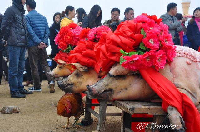 2016即墨田横祭海节三里红炮三牲成排