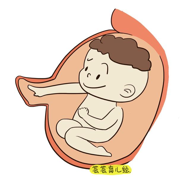 神奇的胎动,不同的胎动代表宝宝不同的语言!