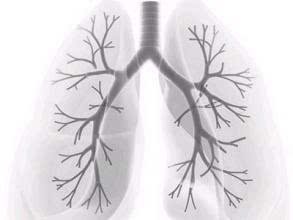 肺癌为什么会关节痛?-搜狐健康