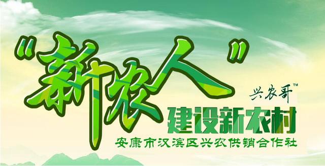 定陶招聘_2021年菏泽市定陶区教体系统公开招聘教师163人职位表(2)