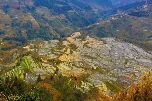 摄影元阳梯田02大地雕刻的水彩画