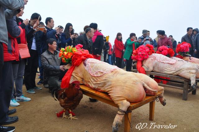 2016即墨田横祭海节:三里红炮,三牲成排