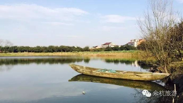 了一组美丽的水乡风景图, 一条蜿蜒的游步道,宽敞干净, 湖边的芦苇,边