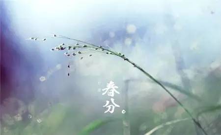 节气?|?春分:百花争宠,花柔柳困