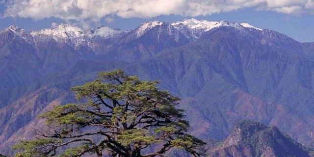 海拔五千一百二十八米的的高黎贡山.山顶有着皑皑白雪,积年不化.