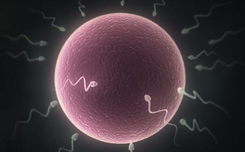 精子成活率低怎么办?吃啥能提高精子质量?