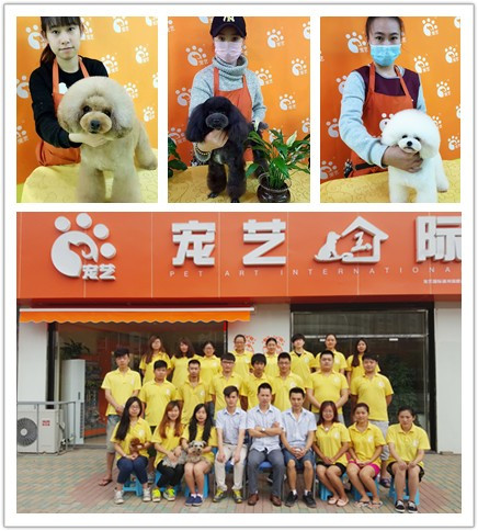 北京最好的宠物美容学校是哪家