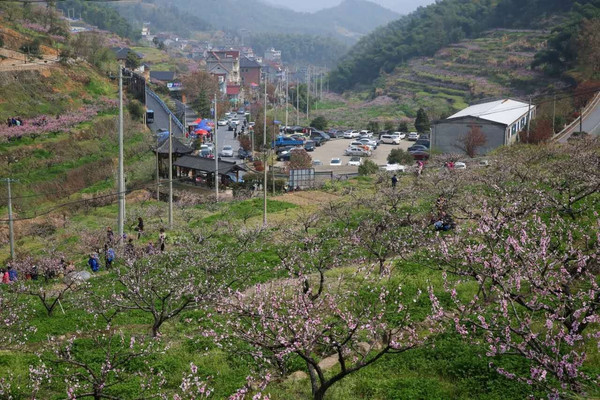 2016富阳新登半山桃花节明天开幕啦!看看今年有什么活动?