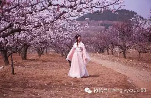 嘉祥婚纱_嘉祥一中图片(2)