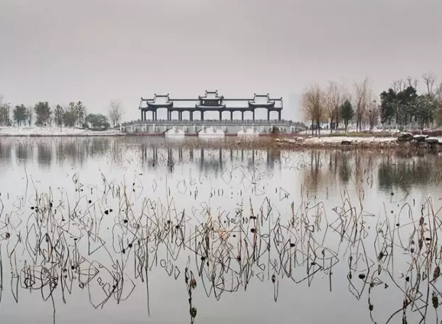 武汉沙湖公园冬日雪景