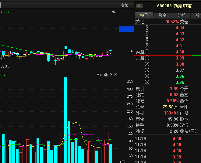 新湖中宝(600208)个股点评