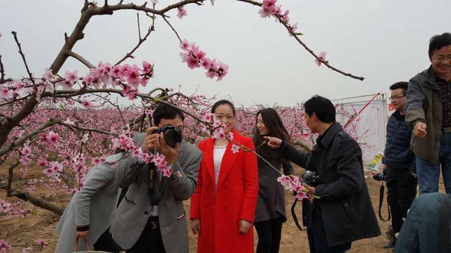 2016河南·新野津湾桃花文化艺术节今日开幕