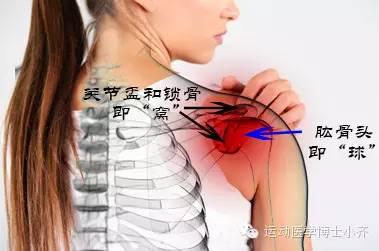 健康 正文  肩周炎,又称冻结肩,医学术语叫粘连性肩关节囊炎.