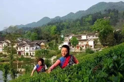 湄潭县兴隆镇这里山清水秀,景色迷人,如果亲自持杆垂钓,让人身体放松