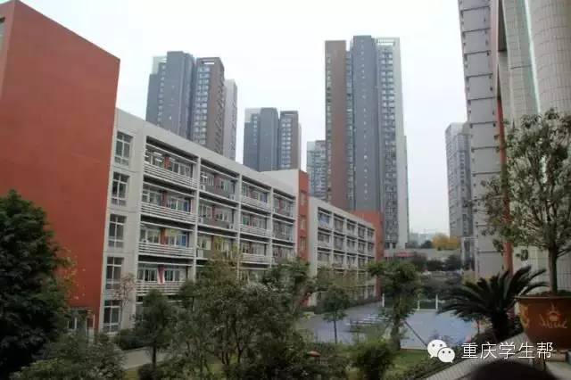 重庆16年最土豪学校排行榜(小学、高中、大学