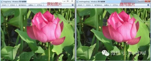 图片一个字节隐写1比特数据,效果如下图所示.