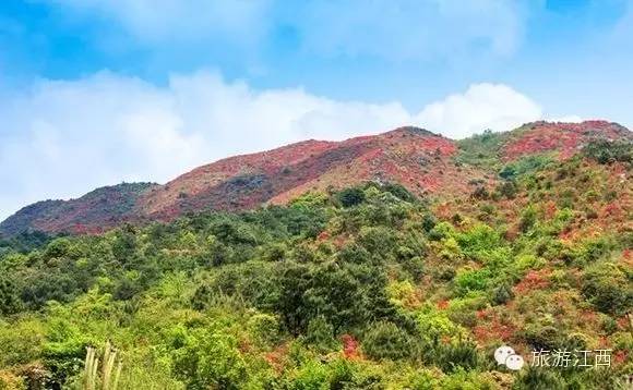 充满历史沧桑的金华山古刹就在此地 金华山位于武夷山脉中段东麓,宁化