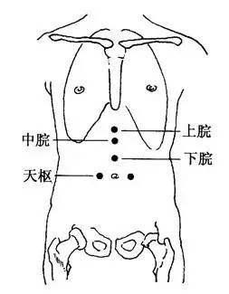 天枢(在腹中部,离肚脐眼正中2寸)