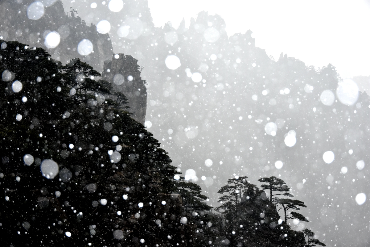 3月26日下午,黄山风景区雪花纷飞.