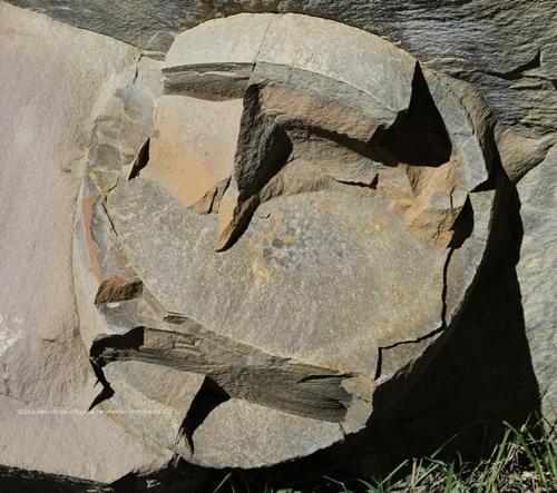 山上突降巨大石蛋，专家鉴定后发现隐藏数万年秘密