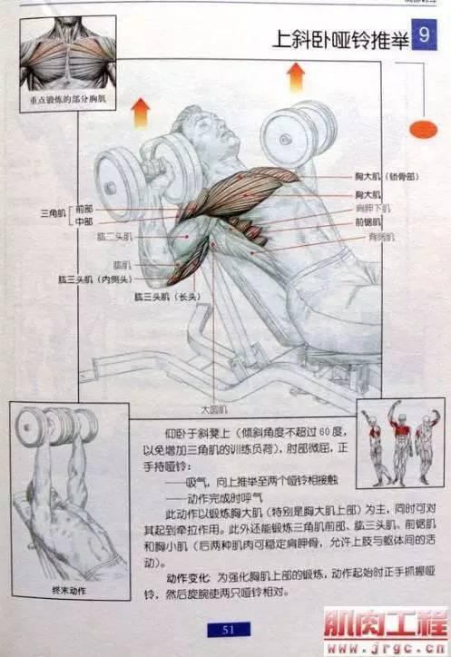 推夹器的原理_推夹器 推夹器 针 钉(3)