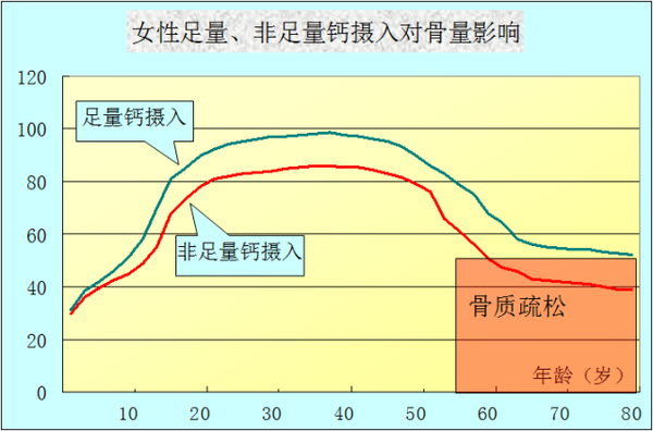 健康生活小常识如何拥有更高的骨量峰值