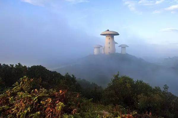 no.10曲靖师宗菌子山风景区及凤凰谷景区