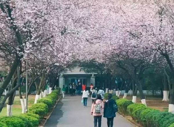 07 嫣子  湖南女子学院 女大最美红木李,只差一枚宋仲基!