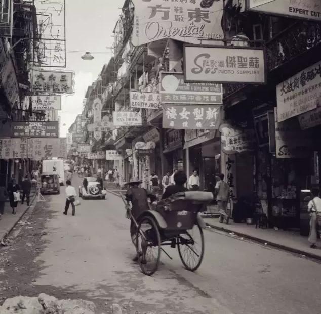 1949年到香港人口_香港2021年生肖表