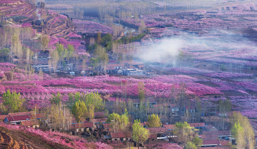 蒙阴花季,隐藏在大山深处的美