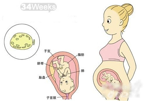 孕34周胎儿指甲覆盖指尖啦 怀孕34周发育情况