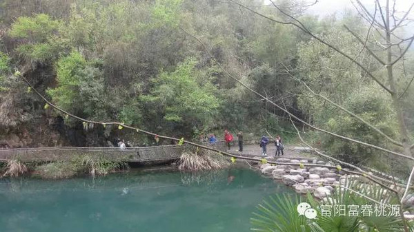 当季富春桃源,琴溪香谷景区周边赏花基地及交通路线: 新登元村梨花