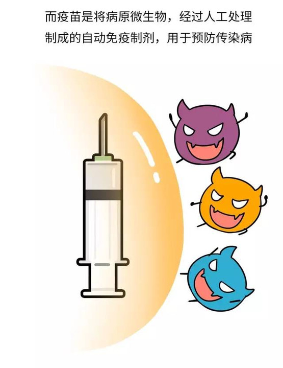 关注|网友漫画:该不该打疫苗?