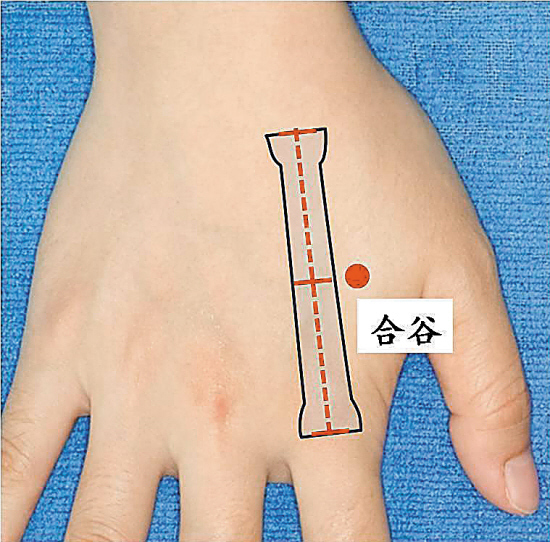 的位置:合谷穴位于手部,一手的拇指第1个关节横纹正对另一手的虎口边