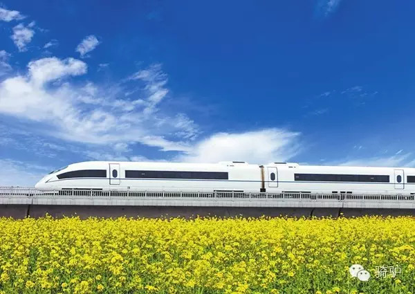 开往中国最美春天的高铁,一站一景美哭
