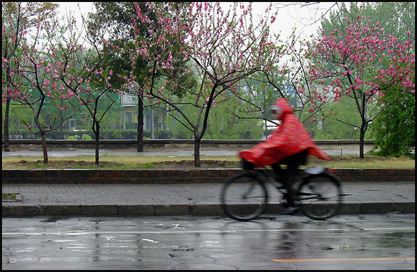 为什么每次清明节都会下雨?