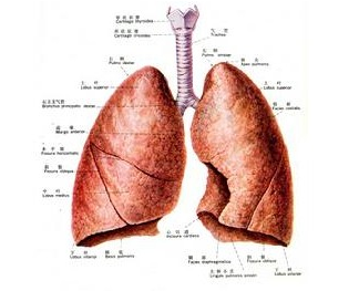 肺癌最常见的早期症状,你了解多少?