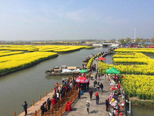 4月1日上午9点,江苏兴化千垛菜花旅游节盛大开幕,金黄金黄的油菜花让