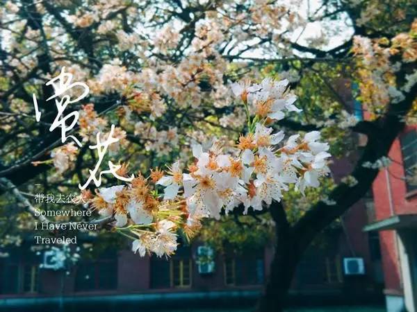 组图】2016湖南高校 校园一角 摄影大赛,学校美