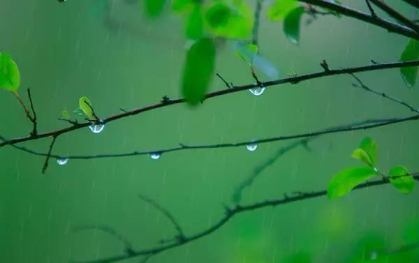 春雨蒙蒙,玩味昆明