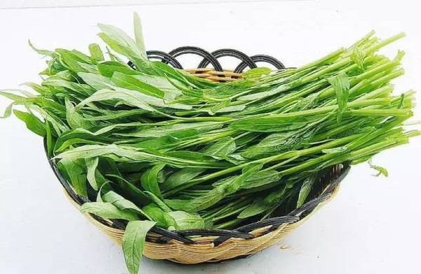 成都周边采野菜,这5个地方不能错过!