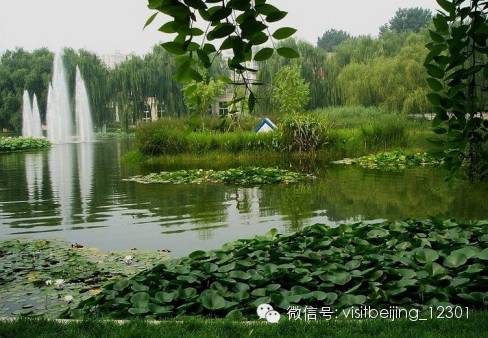 【出游】北京周边美到醉的小众景点,节假日一