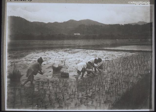 老照片|民国时期农民的生活