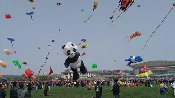 听游|人间四月芳菲尽,六大花海始盛开!