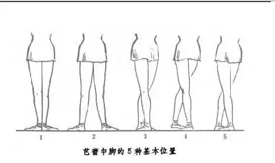 艺学芭蕾舞基本手位和基本脚位图解