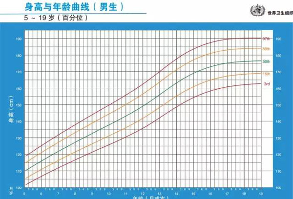 女孩0-19岁生长曲线(世界卫生组织)