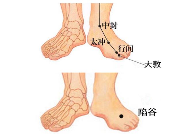 根据中医经络理论或全息生物