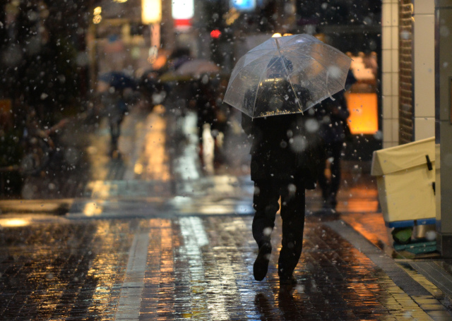 讲礼仪的日本人 为何爱透明雨伞