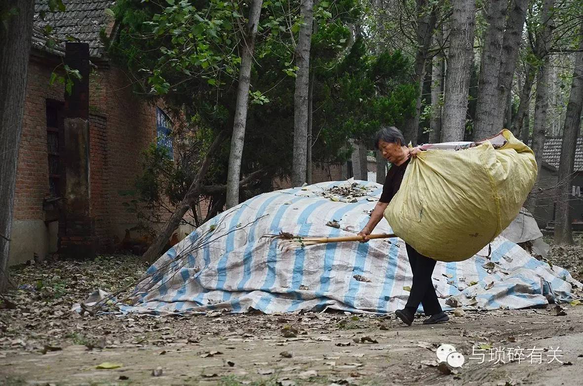 如果农民不种粮食以后的我们吃什么呢