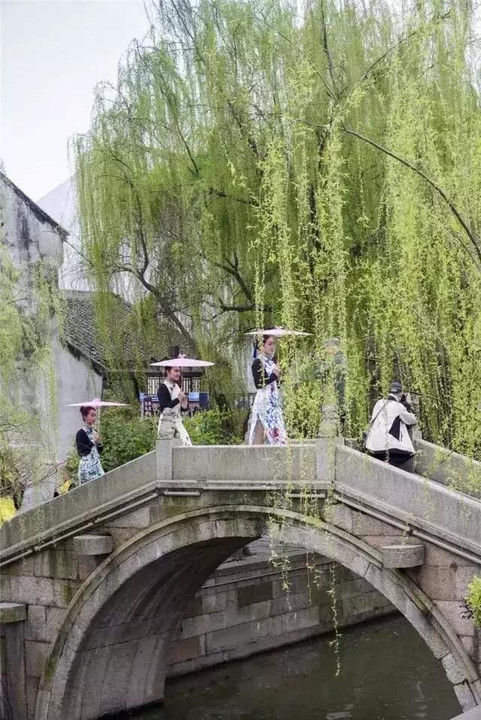 懒散的躺在船尾,听着艄公的摇橹声,看河道两旁的古宅新柳在眼前慢慢退